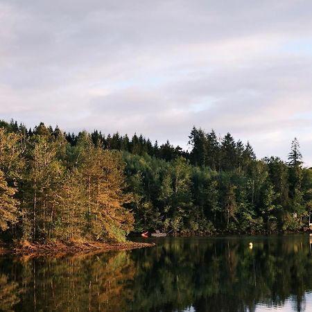 Lodge Avec Spa Privatif - Foret Et Lac Liginiac Εξωτερικό φωτογραφία