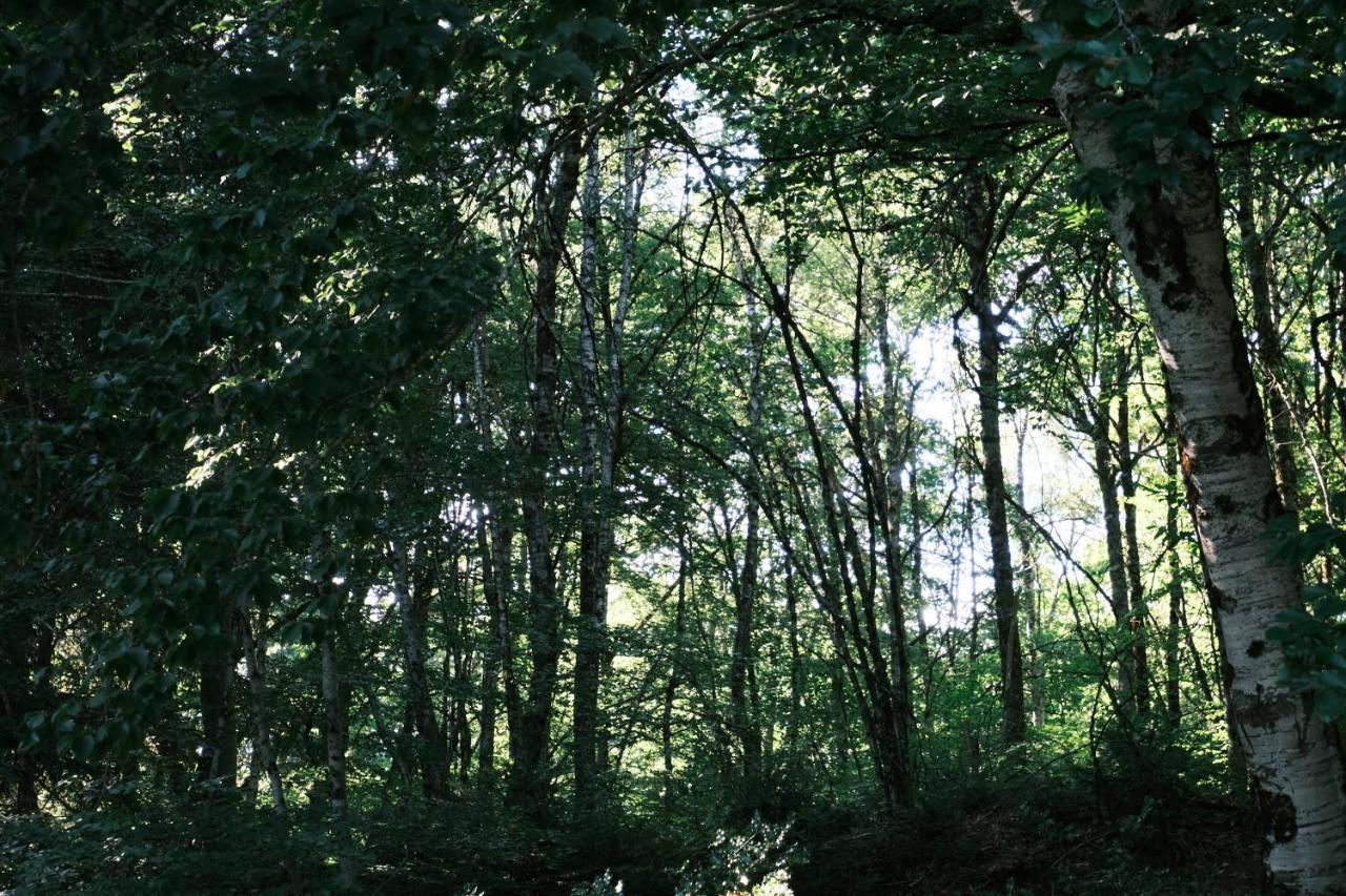 Lodge Avec Spa Privatif - Foret Et Lac Liginiac Εξωτερικό φωτογραφία