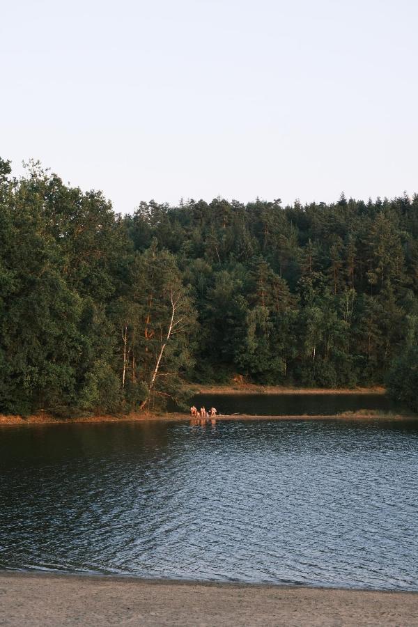 Lodge Avec Spa Privatif - Foret Et Lac Liginiac Εξωτερικό φωτογραφία