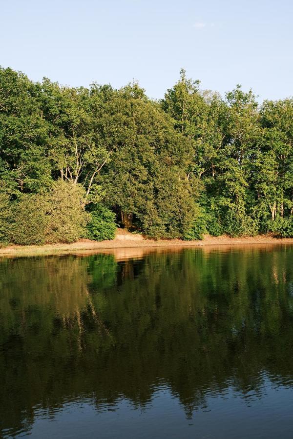 Lodge Avec Spa Privatif - Foret Et Lac Liginiac Εξωτερικό φωτογραφία