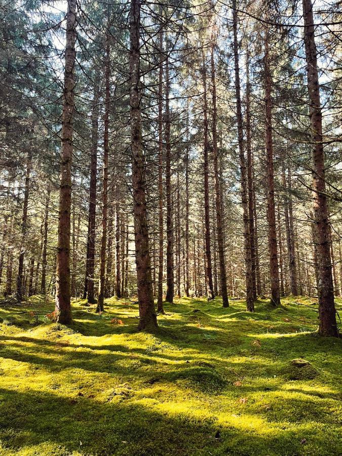 Lodge Avec Spa Privatif - Foret Et Lac Liginiac Εξωτερικό φωτογραφία