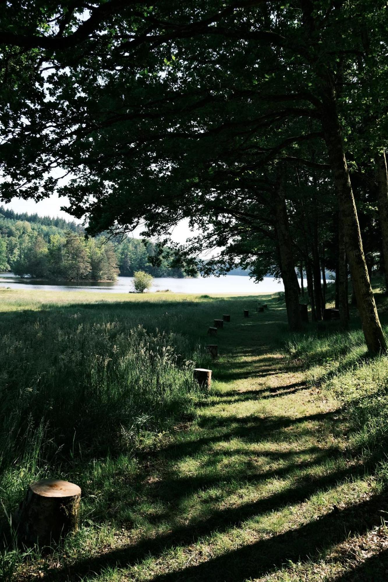 Lodge Avec Spa Privatif - Foret Et Lac Liginiac Εξωτερικό φωτογραφία