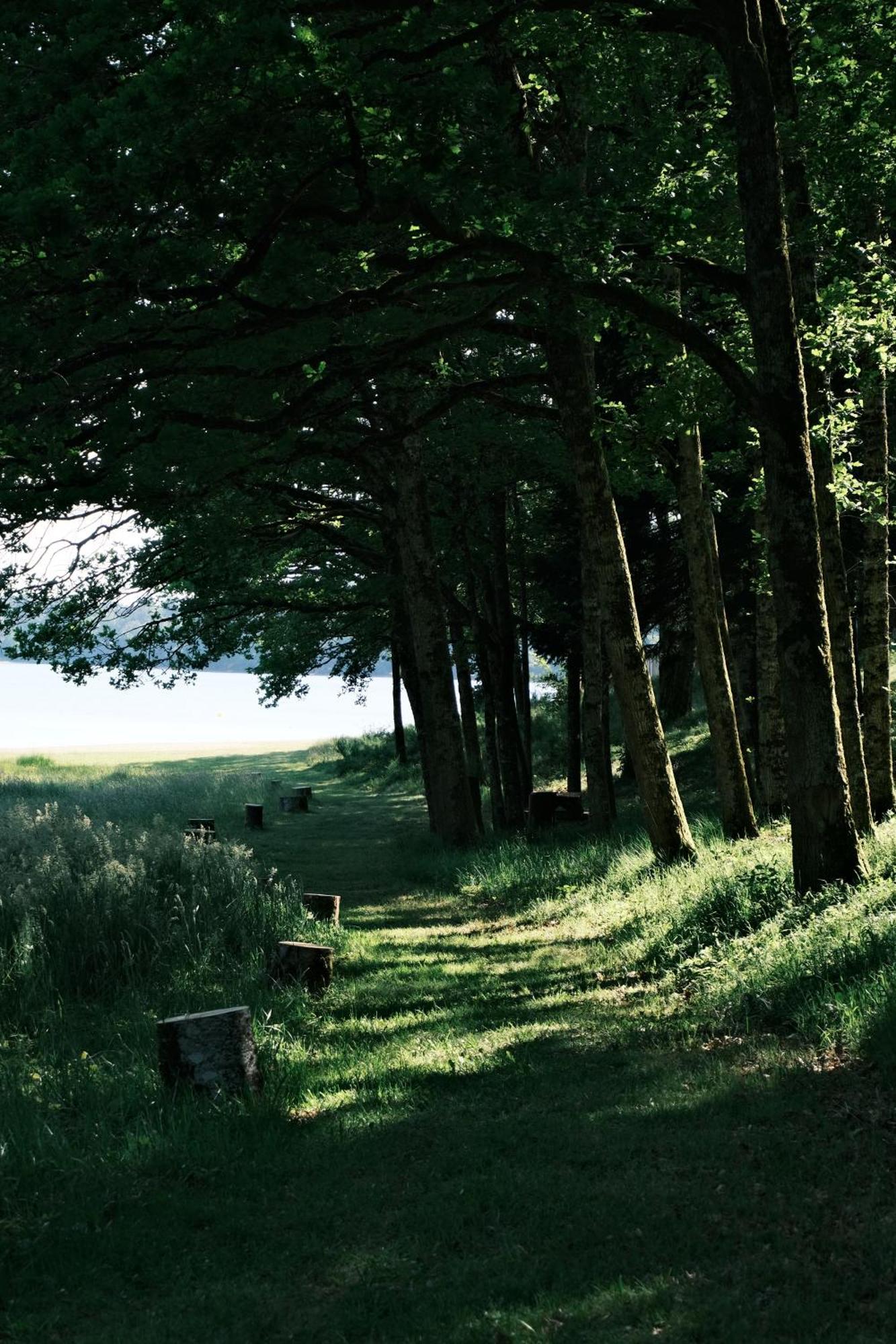 Lodge Avec Spa Privatif - Foret Et Lac Liginiac Εξωτερικό φωτογραφία