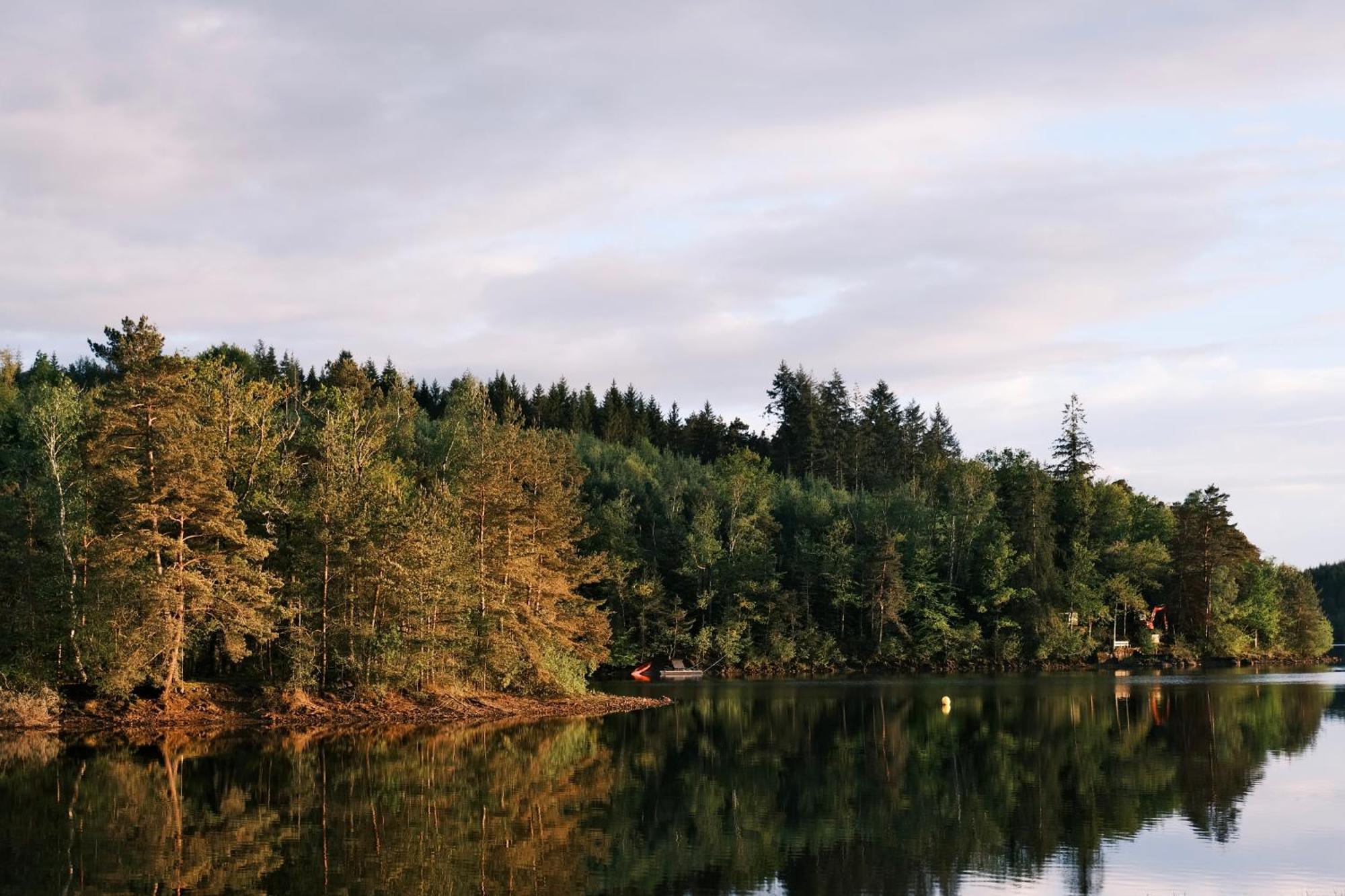 Lodge Avec Spa Privatif - Foret Et Lac Liginiac Εξωτερικό φωτογραφία